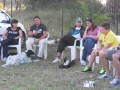 SAM_1142